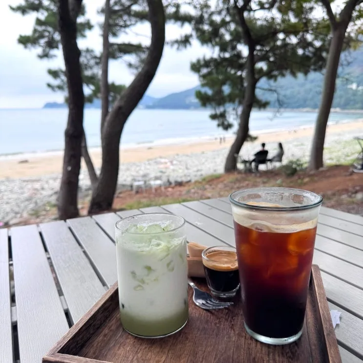Museul Sori Review: Yeosu’s Cozy Ocean-View Cafe to Unwind