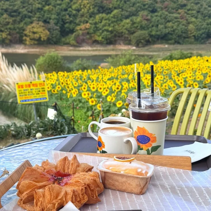 Café in Gyeongju, Korea: Basilla Sunflower Views Near Bulguksa Review