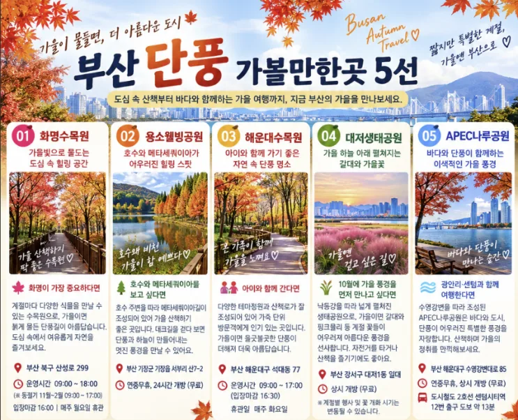 Busan, South Korea Fall Guide 2026: Top 5, Oct–Nov & Peak Colors