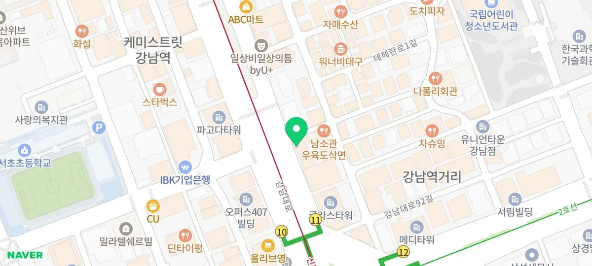 진성형외과의원 지도