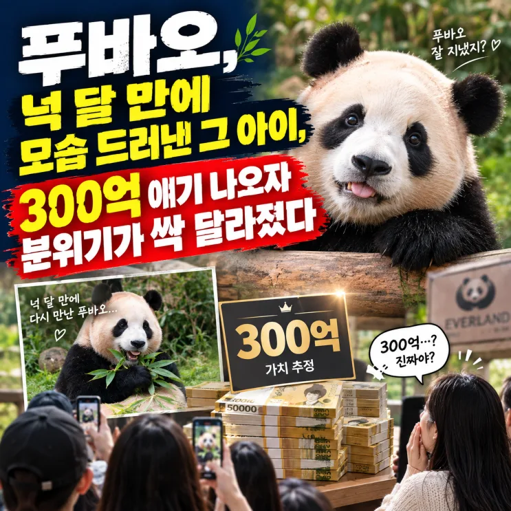 Fu Bao Update: First Public Sighting in 4 Months as $30 Million Panda Debate Heats Up