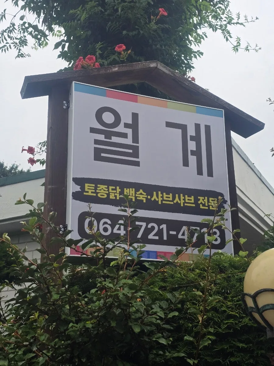 제주 숨은 월평 맛집 몸보신 추천 월계식당 닭백숙 내돈내산 후기
