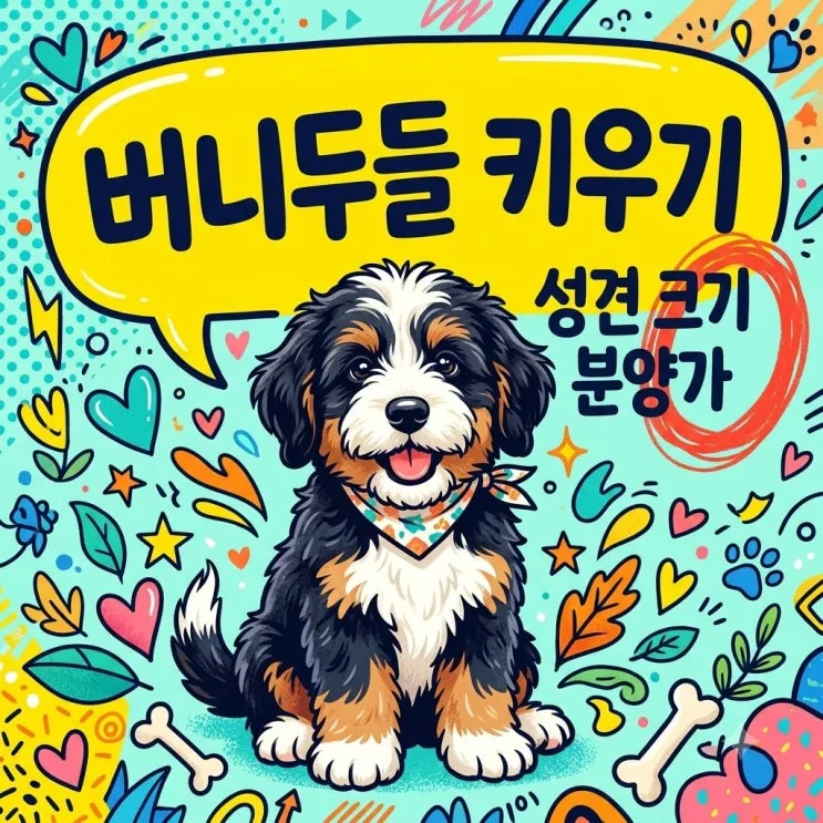 버니두들 성견 크기부터 분양가·털 빠짐 관리까지 총정리