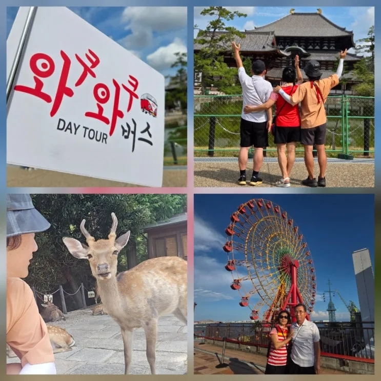 일본 온천 좋아하는 부모님과 오사카 근교 여행 버스투어 추천｜나라 사슴공원·아리마온천·고베 와쿠와쿠 하루 코스