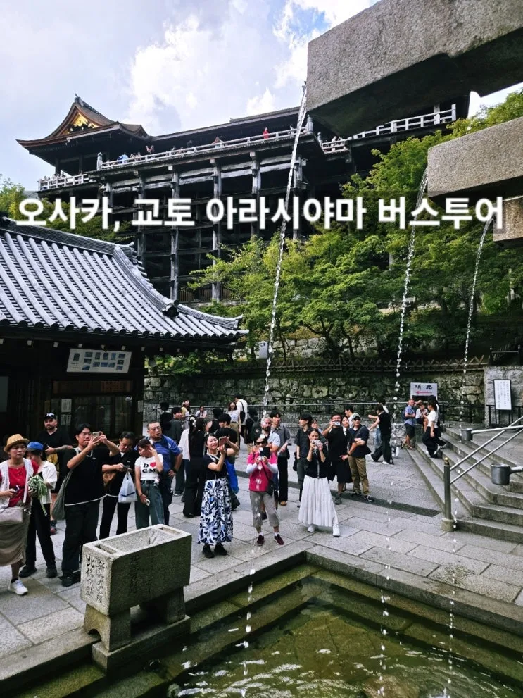 韓国ソウル・大阪発の京都バスツアー体験レポ｜A Bowl of Travelで巡る嵐山・金閣寺・伏見稲荷・清水寺、全チケット＆すき焼きランチ付き
