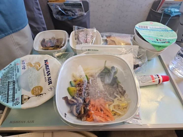 대한航空 KE951 仁川飛杜拜實測｜杜拜機場入境到 Pullman 飯店全記錄攻略