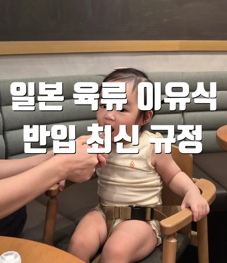 일본 육류 반입 관련 2026년 7월 개정 최신 이유식 반입 규정 오피셜